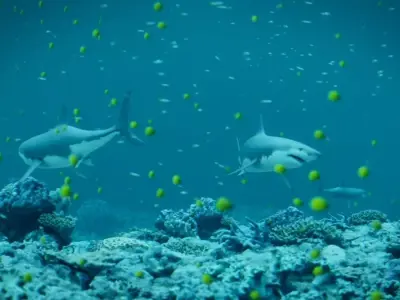 Underwater EcoSystem Free low-poly 3D model