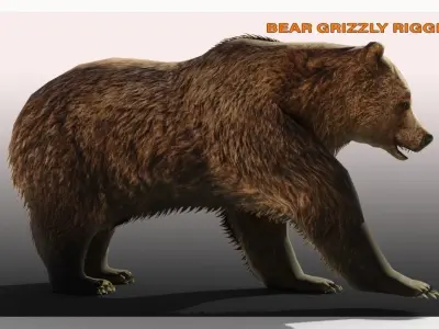 BEAR LOW-POLY RIGGED Low-poly 3D model