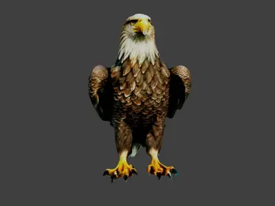 Eagle Low-poly 3D model buy