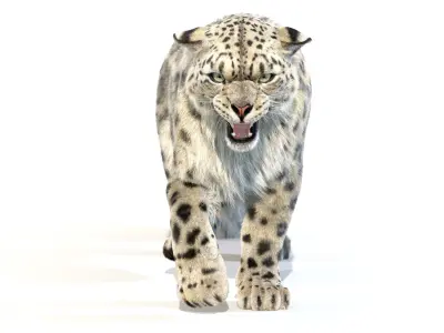 Animated Snow Leopard Fur 3D model