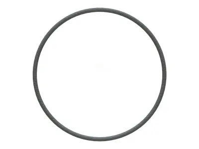 O Ring Vedabras 12317 3D model