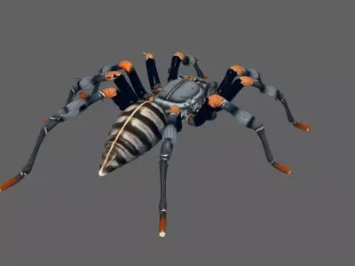 Spider 3D model 18