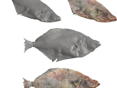 Seafood Shops Pack 01 3D model