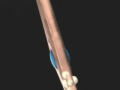 Water tribe knife Low-poly 3D model