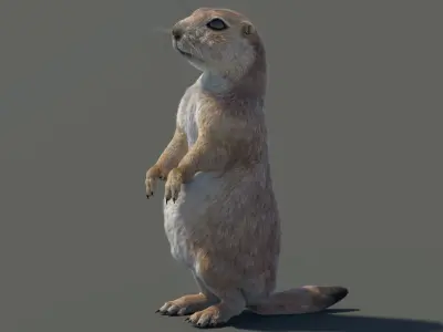 Rigged Prairie Dog with Fur 3D model