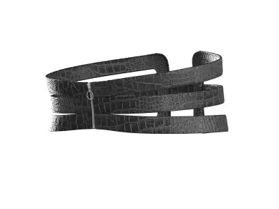 Black Frame Belt 3D model