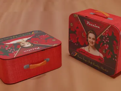 Blanket Bag Free 3D model