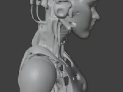 robot  3D model order