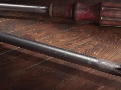Old Screw Driver  3D model