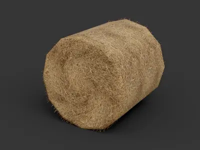Hay Collection Low-poly 3D model