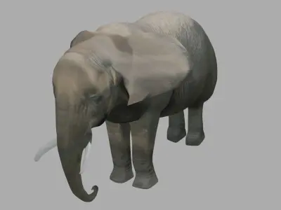 Elephant OBJ Low-poly 3D model
