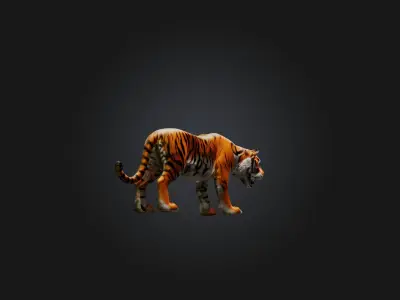Realistic Tiger Low-poly 3D model