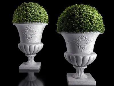 Plant Collection 04 3D model