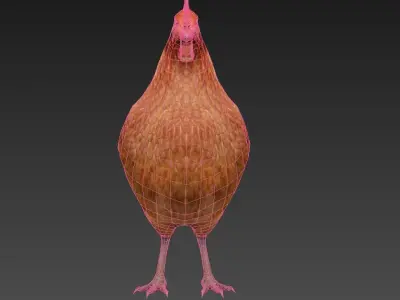 Hen  chicken Low-poly 3D model