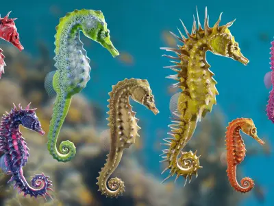 Lowpoly Seahorse Pack Low-poly 3D model