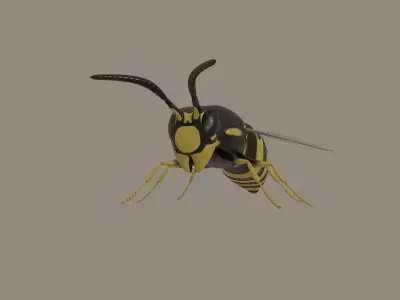 Wasp model 3D model