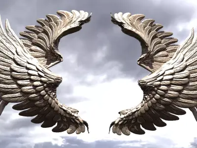 Serafim Curved wings 2  3D model
