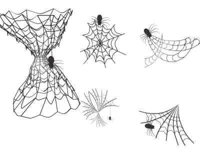 Spider Web 3D model purchase