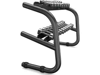 Technogym - Free Weight - Chromed Dumbells 3D model