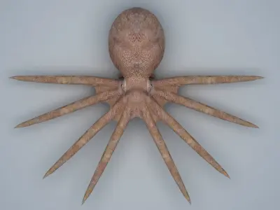 Octopus with spikes Low-poly 3D model