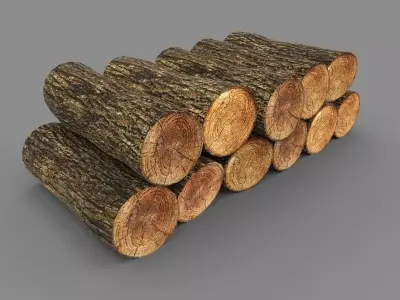 Wooden Logs Low-poly 3D model purchase