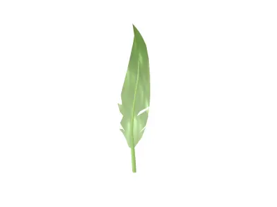 Feathers v1 004 Low-poly 3D model