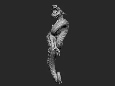  Chinese Dragon 3D print 
