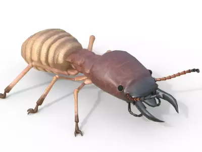 Termite Insect Rigged 3d model Free 3D model