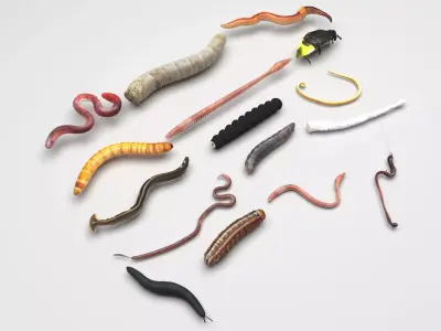 Worms Set 3D model