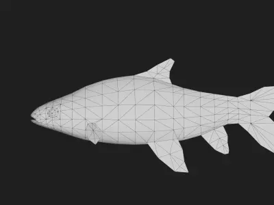 Goldenpricecarp Low-poly 3D model
