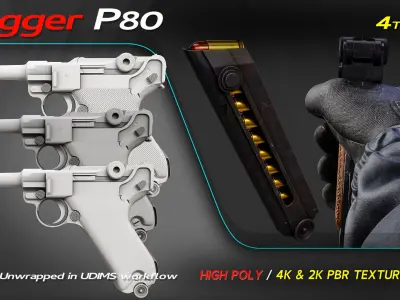 LuggerP80 3D model