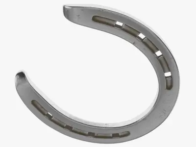 Horseshoe 1 Textured 3D model
