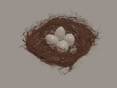 Bird Nest 3D model order