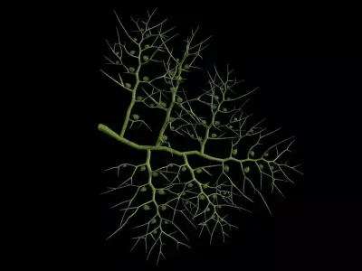 3D Utricularia model branch of plant Low-poly 3D model