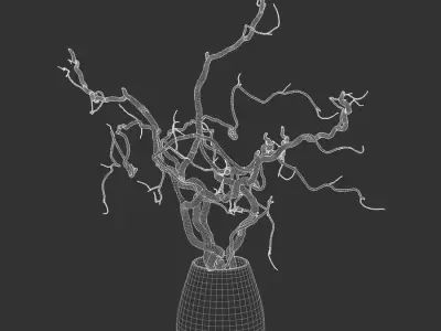  Bare Corkscrew Hazel Potted Plant Model  purchase