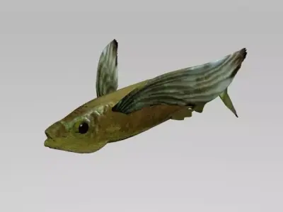 PAREXO LOW POLY fish with wings flying in air 3D model