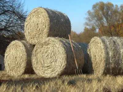 Round Hay Bales Stack with Pitchfork Golden Brown 3D model