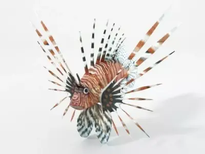Lionfish lion flying in air Low-poly 3D model