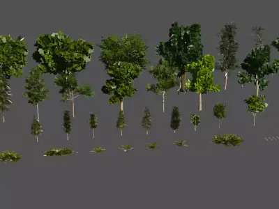 Forest Pack - 29 Trees and 20 Foliage Props - Unity Prefabs - Low-poly 3D model