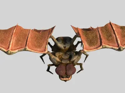 Fly Monster Low-poly 3D model