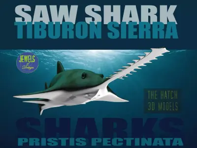 Saw Shark 3D model