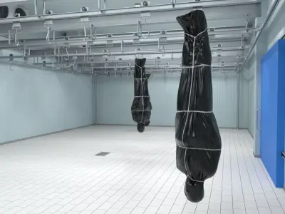 Cold Storage Unit with Hanging Bag for Cadaver 3D model