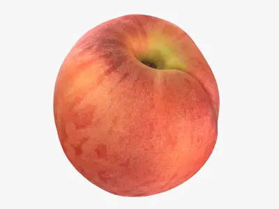 Peach Fruit Collection 3D model
