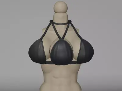 Triple Legion Body Part and Clothing 3D print model