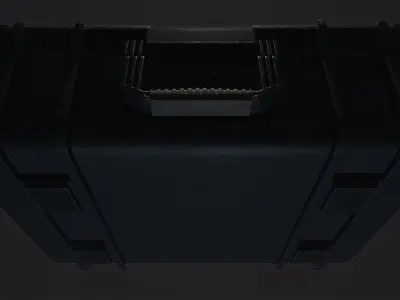 Protected Case Low-poly 3D model