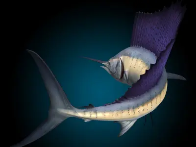 Sailfish 3D model purchase