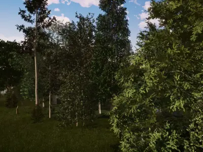 Very realistic 3d Trees collection for Twinmotion 2019 part 1 Low-poly 3D model