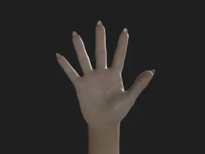 HAND-017 Woman right hand Low-poly 3D model