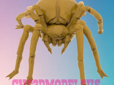 SPIDER 1 3D MODEL STL FILE FOR CNC ROUTER LASER 3D print model