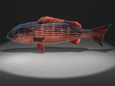 Red Snapper Low-poly 3D model